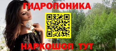 гашик Кунгур