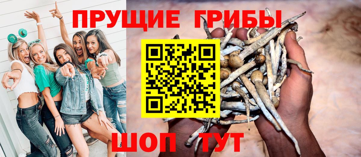 цена наркотик  Псилоцибиновые грибы мицелий  Вход с VPN  Гулькевичи 